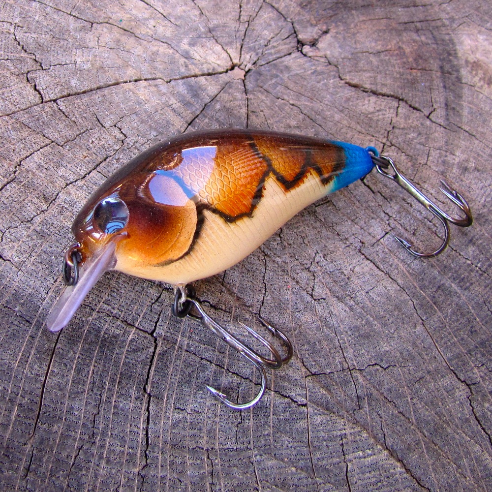 Stained Water Rev Craw